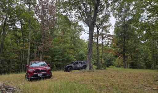 Photo #12 of SUNSET WOODS TRAIL, RIXEYVILLE, VA 10.9 acres
