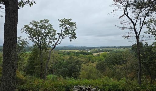 Photo #6 of SUNSET WOODS TRAIL, RIXEYVILLE, VA 10.9 acres