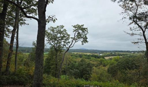 Photo #7 of SUNSET WOODS TRAIL, RIXEYVILLE, VA 10.9 acres