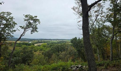 Photo #8 of SUNSET WOODS TRAIL, RIXEYVILLE, VA 10.9 acres