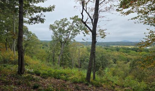 Photo #5 of SUNSET WOODS TRAIL, RIXEYVILLE, VA 10.9 acres