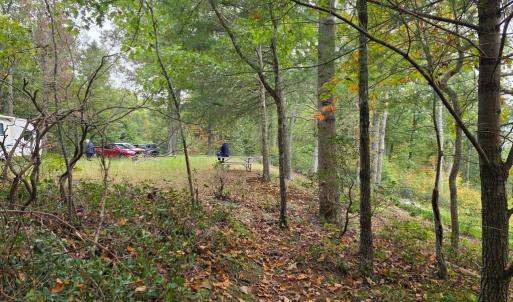 Photo #13 of SUNSET WOODS TRAIL, RIXEYVILLE, VA 10.9 acres