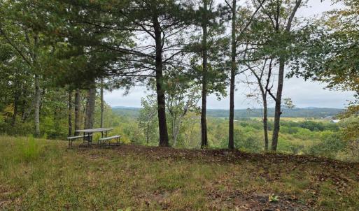 Photo #2 of SUNSET WOODS TRAIL, RIXEYVILLE, VA 10.9 acres