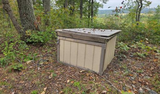 Photo #20 of SUNSET WOODS TRAIL, RIXEYVILLE, VA 10.9 acres