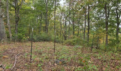 Photo #22 of SUNSET WOODS TRAIL, RIXEYVILLE, VA 10.9 acres