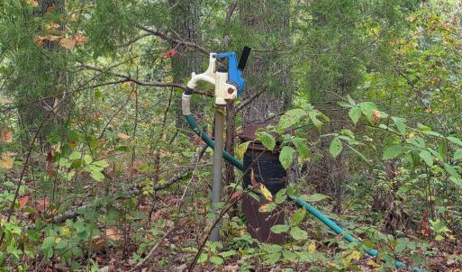 Photo #19 of SUNSET WOODS TRAIL, RIXEYVILLE, VA 10.9 acres