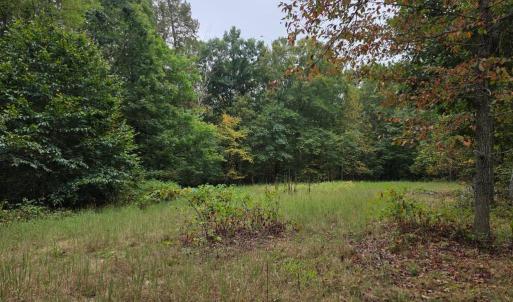 Photo #24 of SUNSET WOODS TRAIL, RIXEYVILLE, VA 10.9 acres