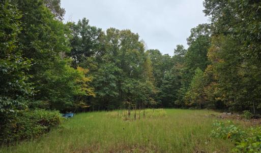Photo #25 of SUNSET WOODS TRAIL, RIXEYVILLE, VA 10.9 acres