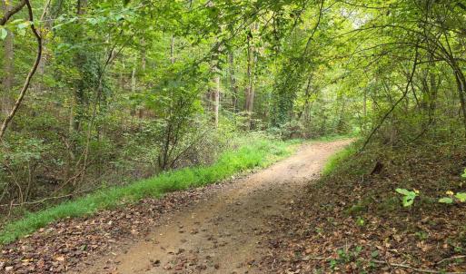 Photo #35 of SUNSET WOODS TRAIL, RIXEYVILLE, VA 10.9 acres