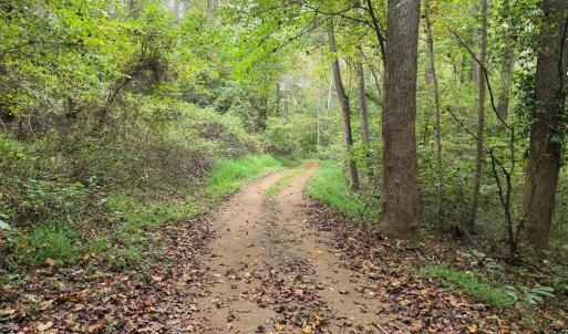 Photo #36 of SUNSET WOODS TRAIL, RIXEYVILLE, VA 10.9 acres