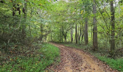Photo #37 of SUNSET WOODS TRAIL, RIXEYVILLE, VA 10.9 acres