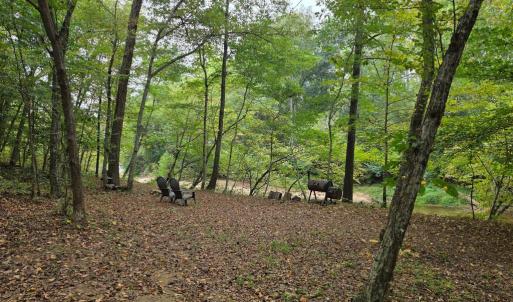 Photo #39 of SUNSET WOODS TRAIL, RIXEYVILLE, VA 10.9 acres