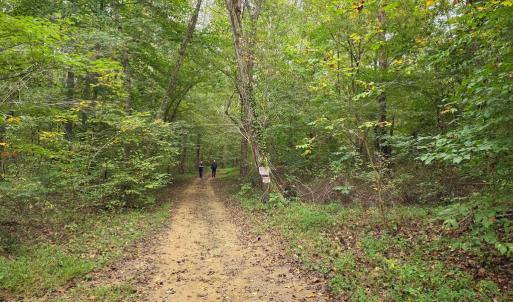 Photo #38 of SUNSET WOODS TRAIL, RIXEYVILLE, VA 10.9 acres