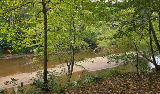 Photo #42 of SUNSET WOODS TRAIL, RIXEYVILLE, VA 10.9 acres