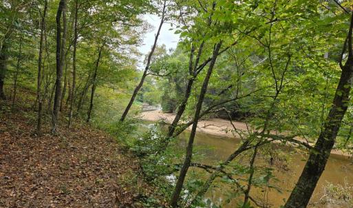 Photo #44 of SUNSET WOODS TRAIL, RIXEYVILLE, VA 10.9 acres