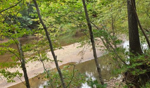 Photo #46 of SUNSET WOODS TRAIL, RIXEYVILLE, VA 10.9 acres