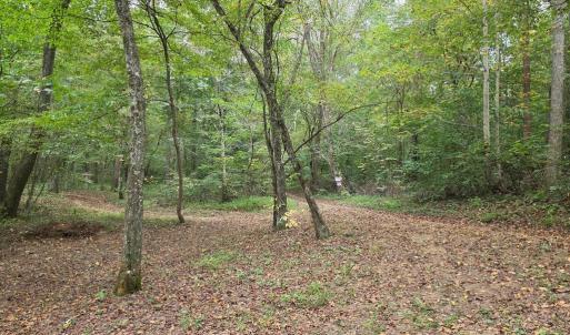 Photo #40 of SUNSET WOODS TRAIL, RIXEYVILLE, VA 10.9 acres