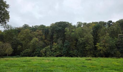Photo #54 of SUNSET WOODS TRAIL, RIXEYVILLE, VA 10.9 acres
