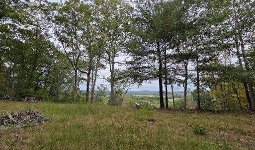 Photo #4 of SUNSET WOODS TRAIL, RIXEYVILLE, VA 10.9 acres