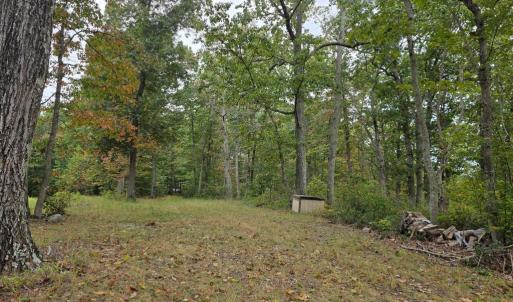 Photo #17 of SUNSET WOODS TRAIL, RIXEYVILLE, VA 10.9 acres