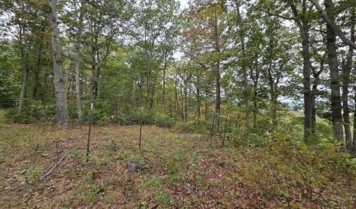 Photo #21 of SUNSET WOODS TRAIL, RIXEYVILLE, VA 10.9 acres