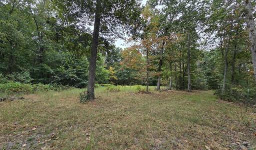 Photo #23 of SUNSET WOODS TRAIL, RIXEYVILLE, VA 10.9 acres