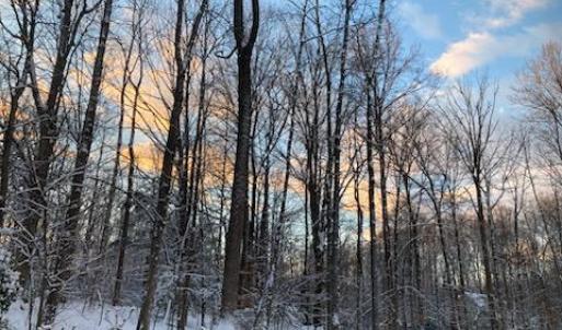 Photo #33 of SUNSET WOODS TRAIL, RIXEYVILLE, VA 10.9 acres