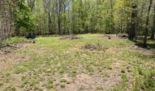 Photo #26 of SUNSET WOODS TRAIL, RIXEYVILLE, VA 10.9 acres