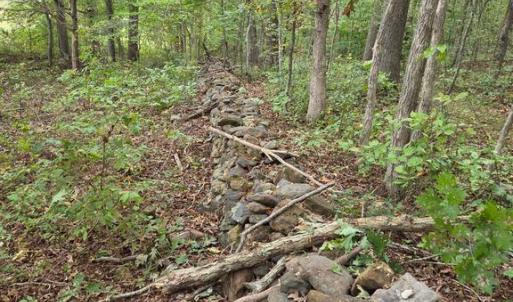 Photo #31 of SUNSET WOODS TRAIL, RIXEYVILLE, VA 10.9 acres