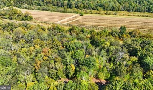 Photo #10 of 14 MECHUNK TER, PALMYRA, VA 1.4 acres