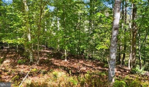 Photo #9 of 14 MECHUNK TER, PALMYRA, VA 1.4 acres