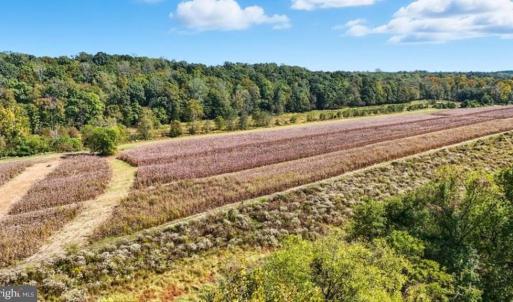 Photo #11 of 14 MECHUNK TER, PALMYRA, VA 1.4 acres