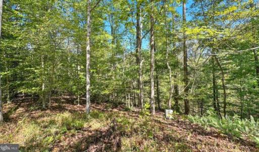 Photo #8 of 14 MECHUNK TER, PALMYRA, VA 1.4 acres