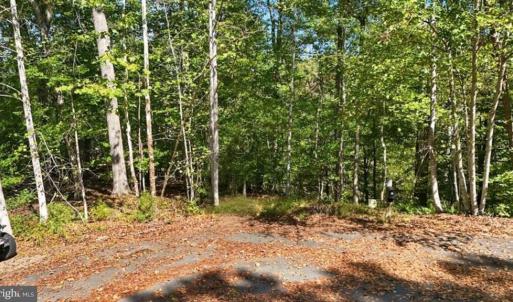 Photo #7 of 14 MECHUNK TER, PALMYRA, VA 1.4 acres