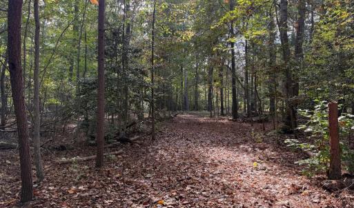 Photo #2 of TURKEY TRAIL, MINERAL, VA 3.6 acres