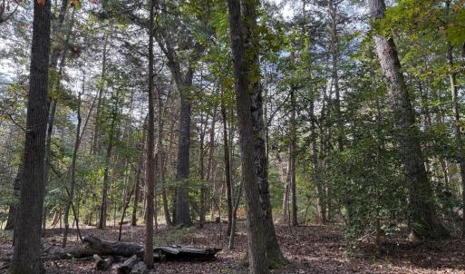 Photo #3 of TURKEY TRAIL, MINERAL, VA 3.6 acres