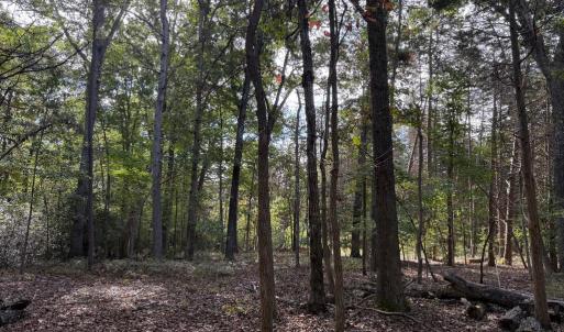 Photo #4 of TURKEY TRAIL, MINERAL, VA 3.6 acres