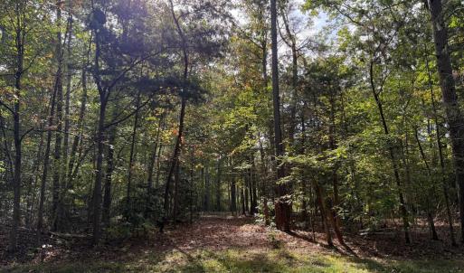 Photo #5 of TURKEY TRAIL, MINERAL, VA 3.6 acres