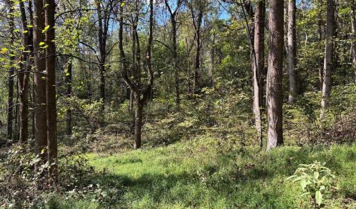 Photo #4 of HARRIS HOLLOW RD, WASHINGTON, VA 9.8 acres