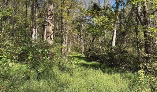 Photo #5 of HARRIS HOLLOW RD, WASHINGTON, VA 9.8 acres