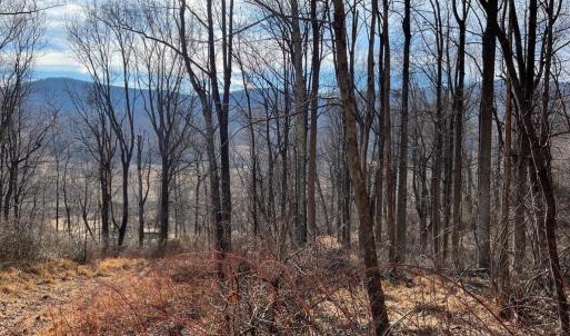 Photo #1 of HARRIS HOLLOW RD, WASHINGTON, VA 9.8 acres