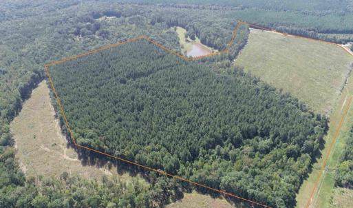 Photo #3 of COMMUNITY HOUSE ROAD (TRACT: JR RAGLAND-HOLLAND-2), COLUMBIA, VA 80.0 acres