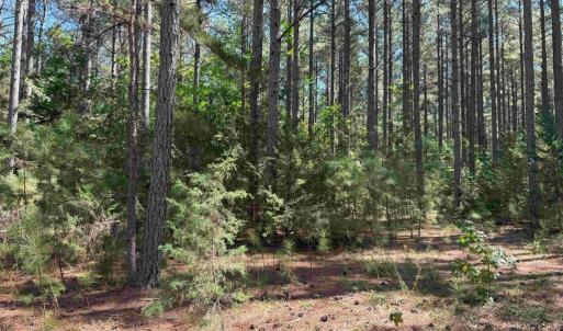 Photo #8 of COMMUNITY HOUSE ROAD (TRACT: JR RAGLAND-HOLLAND-2), COLUMBIA, VA 80.0 acres