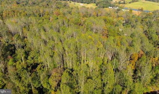 Photo #11 of LEE HIGHWAY, AMISSVILLE, VA 6.0 acres