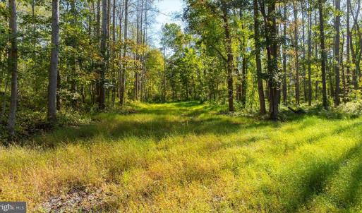 Photo #3 of LEE HIGHWAY, AMISSVILLE, VA 6.0 acres