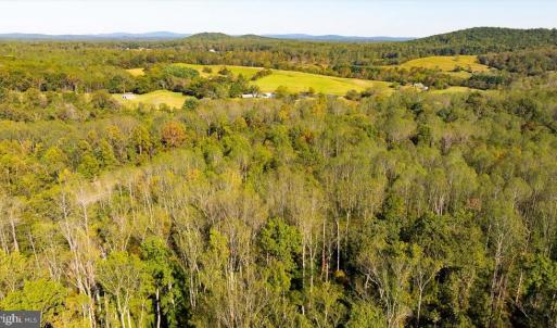 Photo #13 of LEE HIGHWAY, AMISSVILLE, VA 6.0 acres
