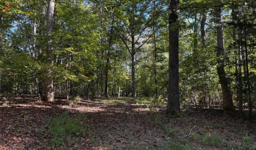 Photo #3 of SIR WALTER DRIVE, BUMPASS, VA 1.9 acres