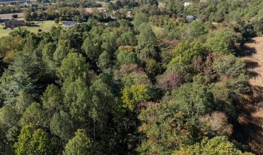 Photo #28 of ORANGE RD, PRATTS, VA 11.1 acres