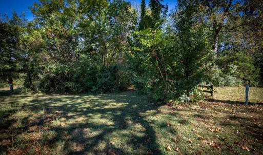 Photo #3 of ORANGE RD, PRATTS, VA 11.1 acres
