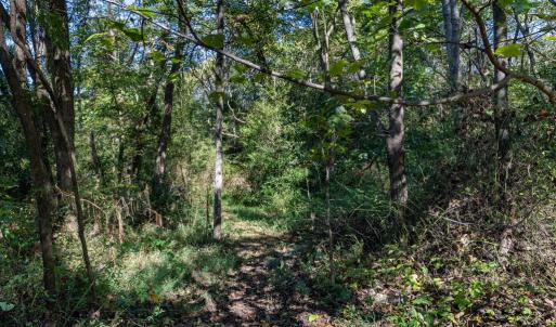 Photo #4 of ORANGE RD, PRATTS, VA 11.1 acres